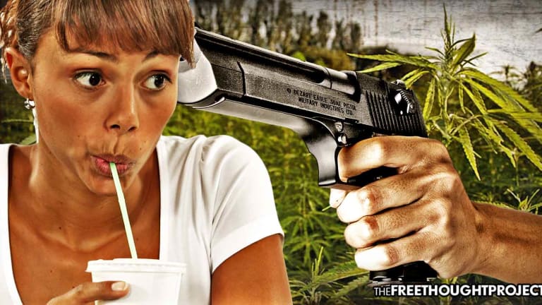 Government Created The Plastic Straw And Pollution Problem By Banning Hemp
