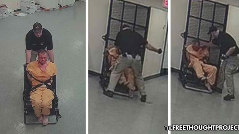 Shocking Video Shows Cop Torture Restrained Man, Punching and Pepper Spraying Him Repeatedly
