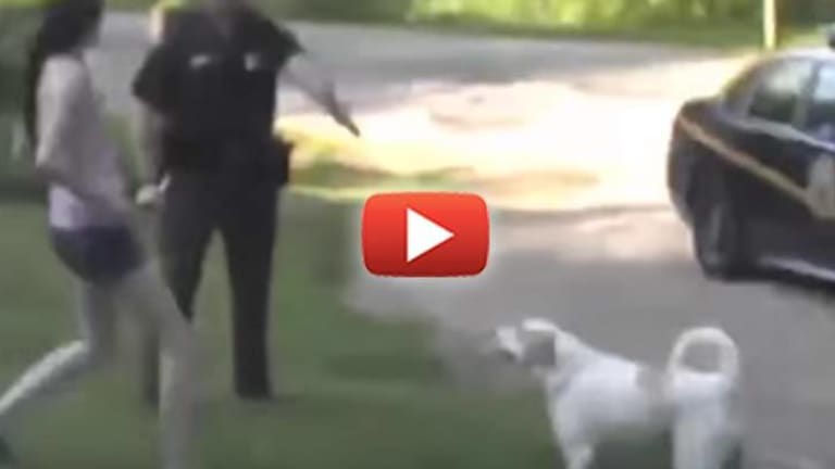 Mother Assaulted, Arrested After Stepping in Front of a Cop Who was About to Shoot Her Dog