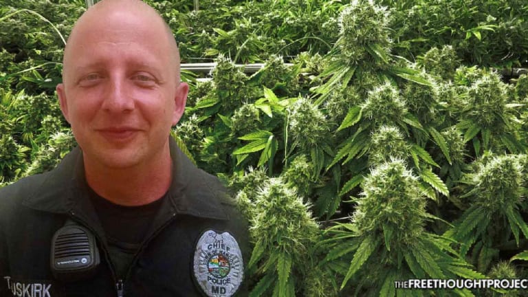 Police Chief Starts Paradigm Shift, Quits Job After 16 Years to Grow Marijuana