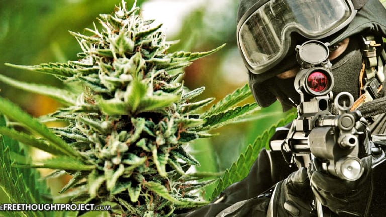 Analysis Shows Pot Will NOT Kill You, But Cops Arresting You For It Definitely Can