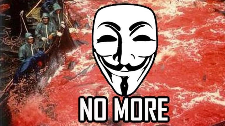 Anonymous is Done Seeing Thousands of Dolphins Slaughtered – Now Targeting Japanese Govt