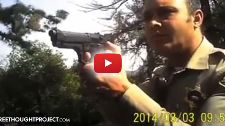 VIDEO: How Trigger Happy Cops React to Tinted Windows -- In a Police State