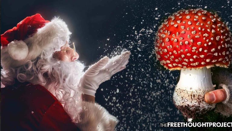 8 Ways Magic Mushrooms Explain Santa Claus and the Christmas Tradition