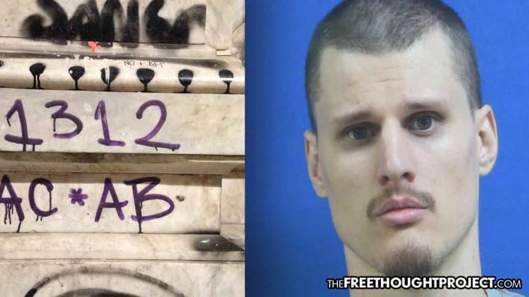 Man Arrested for Legal 'Anti-Police Meme' as ACAB Declared Felony Gang Lingo