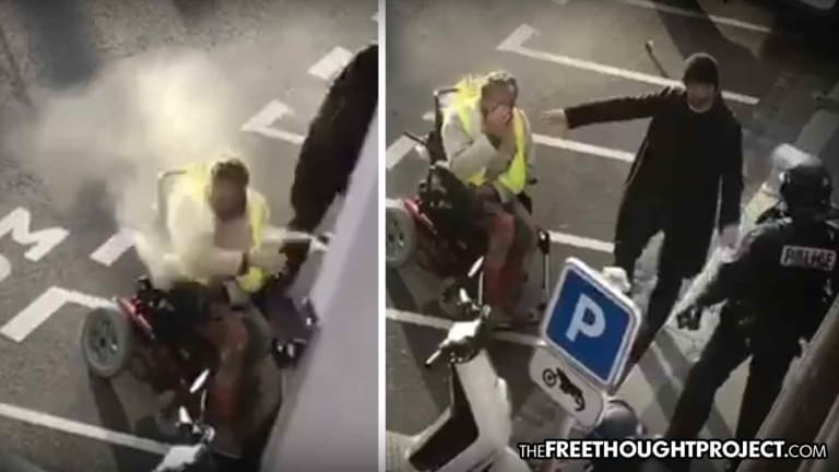 This is Why They Protest: Cops Pepper Spray Man in Wheelchair at Yellow Vest Protest