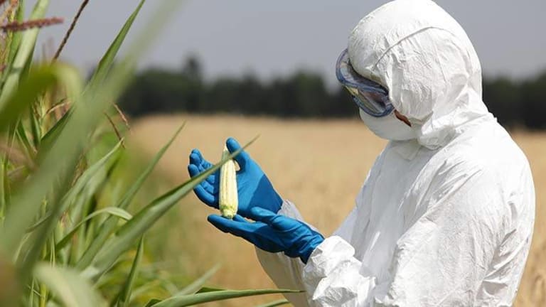 GMO Scientist Blows Whistle on Monsanto's "Misleading Studies" Used to Cover Up Product Risks