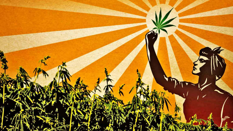 Alaska Politicians Disobey the Feds and Pass Law to Grow Commercial Hemp