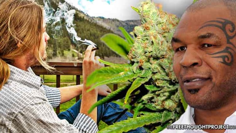 Mike Tyson Revolutionizing Weed Industry—Building Cannabis Mega Resort & Research Center