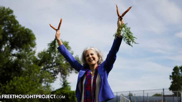 It's On: Jill Stein Just Raised $4.5 Million for a Vote Recount in Key Swing States