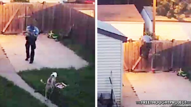 WATCH: Cop Trespasses, Shoots Family's 2 Service Dogs In Front of Child, Taxpayers to Be Held Liable