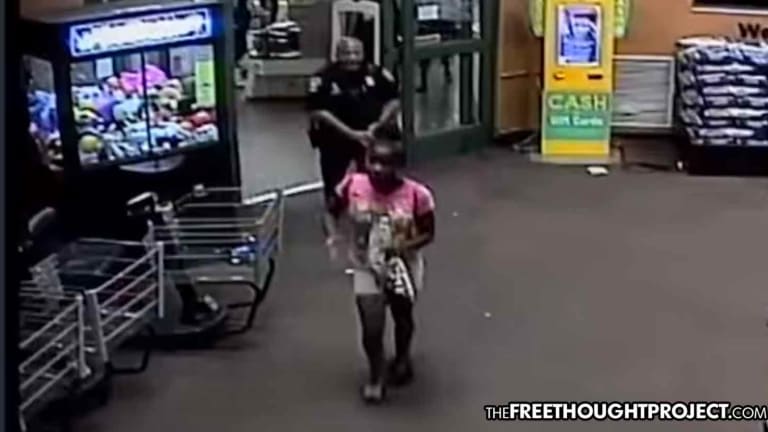 Investigating Cop Who Tasered Little Girl in the Back is Now a "War on Cops" According to Police
