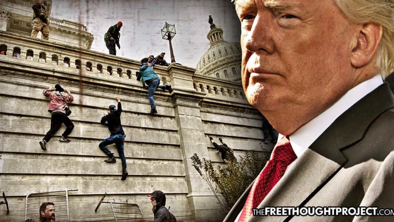 5 Hypocritical Lessons Learned from the MAGA Assault on the Capitol