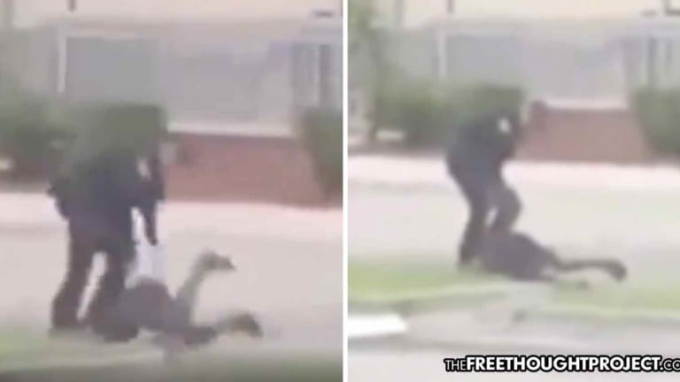 WATCH: Massive School Cop Picks Up 11yo and Smashes Him Into a Concrete Curb