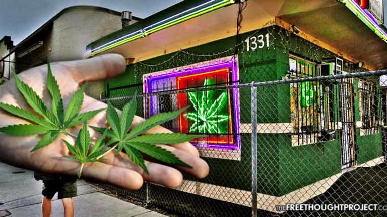 Landmark Study Shows Legal Marijuana Sales Reduce Crime
