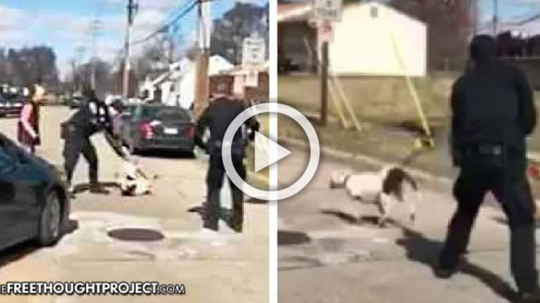 Residents Outraged After Video Shows Cops Taser a Family's Dog