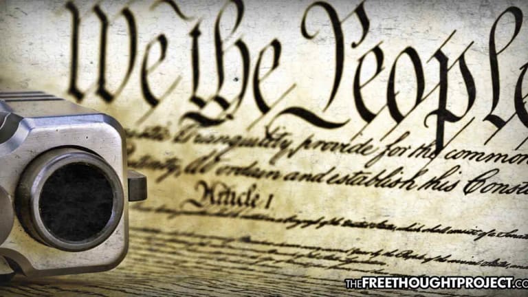 Govt to Force Gun Owners to Pay Annual Tax, Will Confiscate Guns from Those Who Refuse