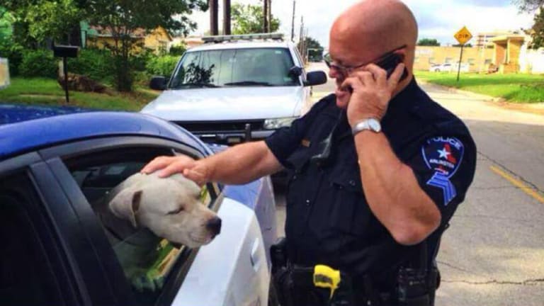 A Rare Big Hearted Cop Rescues Pitbull, Instead of Shooting It - Twice!