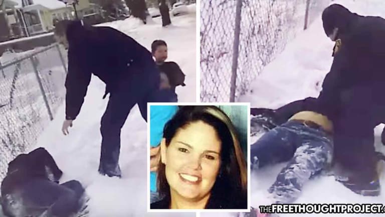 This Is The Video Police Didn't Want You to See, Showing Cop Shoot at Dog, Kill Innocent Mom Instead