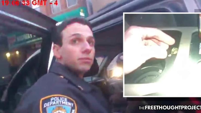 "We Gotta Find Something" — Cops Fist Bump After Planting Weed on Innocent Man