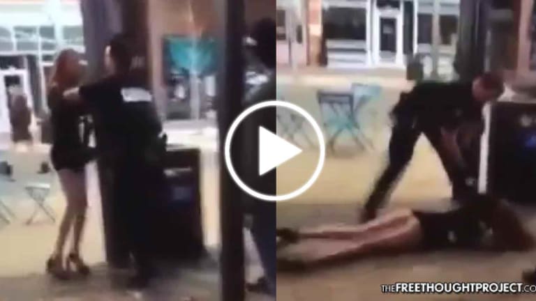 WATCH: 'Brave' Cop Protects Society By Smashing Tiny Woman's Face in the Ground