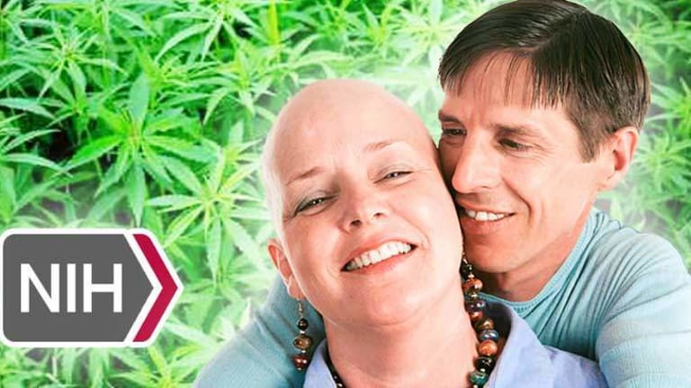 After Decades of Denial National Cancer Institute Finally Admits that "Cannabis Kills Cancer"