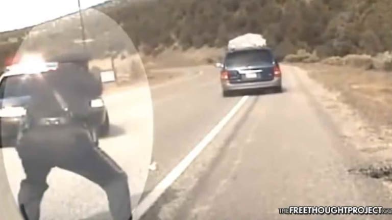 WATCH: Cop Shoots into Minivan Full of Unarmed Children—Court Says It's Justified