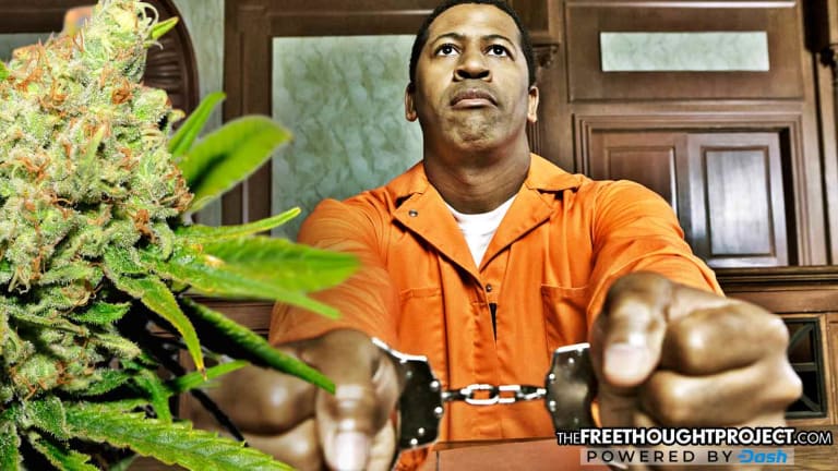 Police Told to Stop Arresting Pot Dealers After Being Exposed for Only Arresting Black People