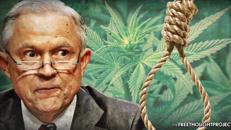 New Memo to Prosecutors Reveals Law Allowing Gov't to Execute LEGAL Marijuana Growers