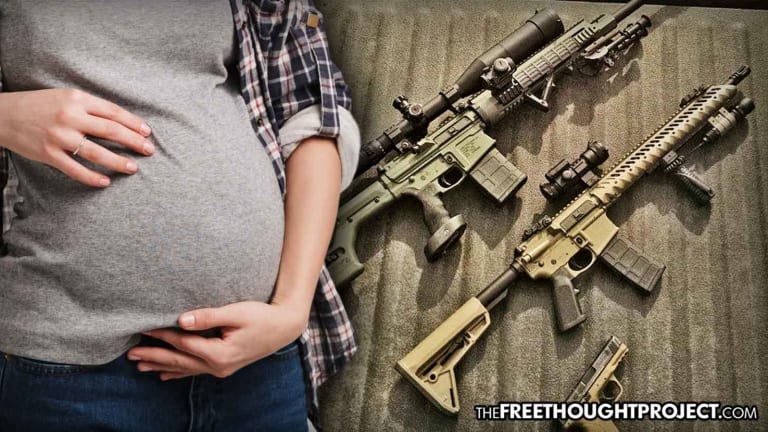 Pregnant Woman Shows Why We Shouldn't Ban AR-15s By Saving Her Entire Family With One