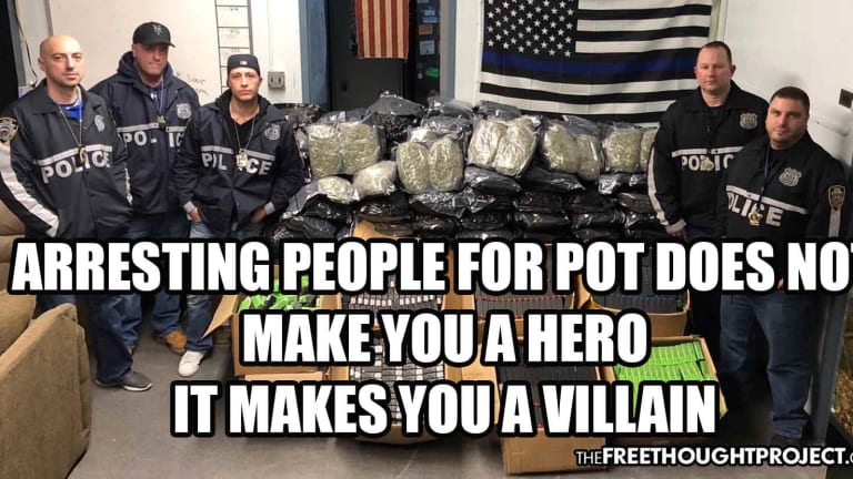 In 2019, Cops Arrested More People for Possessing a Plant Than All Violent Crime COMBINED