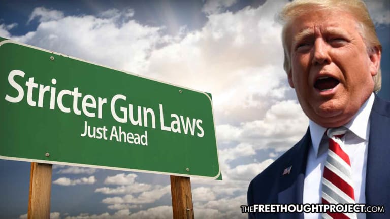 Not Letting a 'Good Tragedy Go to Waste,' Trump Joins Dems to Push for Gun Control