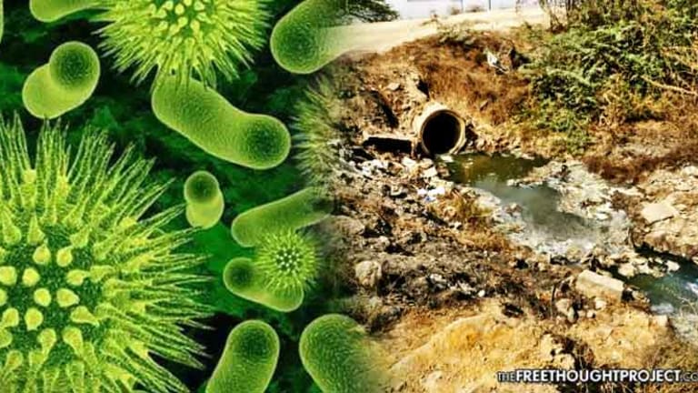 Alarming Study: Pharmaceutical Factory Pollution Accelerating Spread of Superbugs