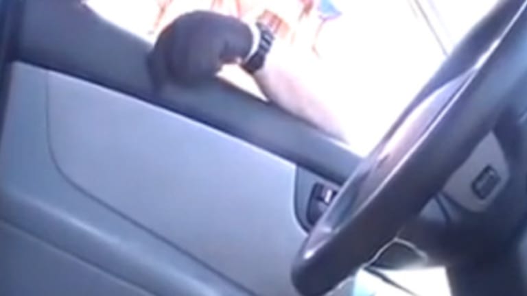 How to Tell A lying Police Officer to Get Lost.....Politely