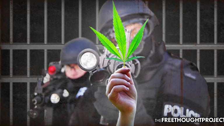 Podcast — Episode #10 | No Knock Raids & The Drug War