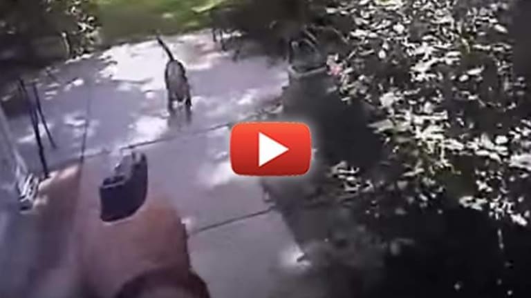 Body Cam Shows Cop Walk into Backyard and Shoot and Kill a Family's Small Dog
