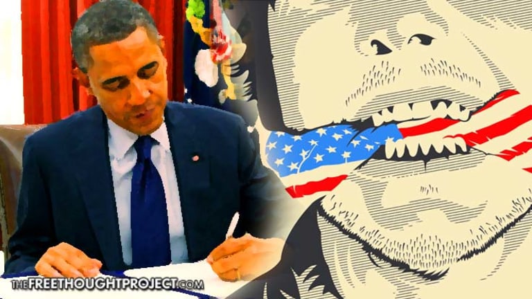 Using Holidays as a Distraction, Obama Just Signed NDAA 'Propaganda' Provision to Destroy Free Press