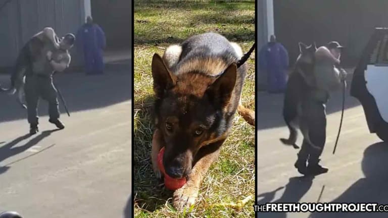 Officer NOT Charged, Allowed to Resign Despite Strangling, Beating His K-9 on Video