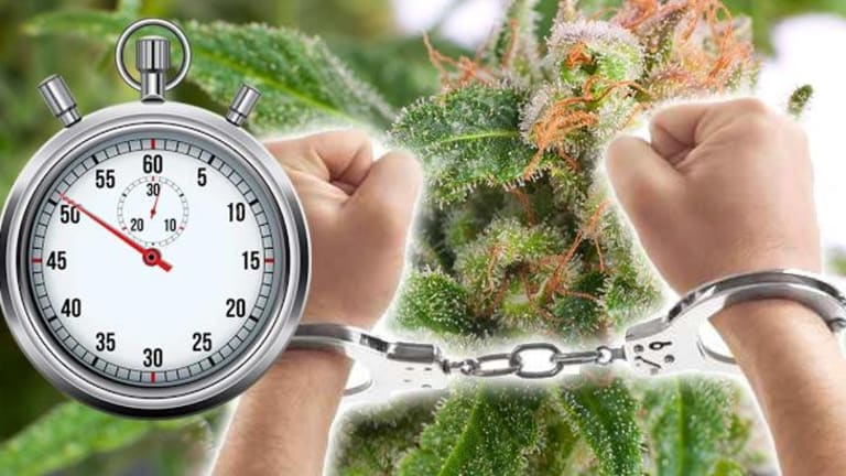 As Rapes & Murders Go Unsolved, Cops Make Arrests Every 51 Seconds for Marijuana Possession