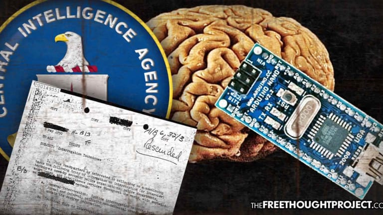 New Gov't Docs Reveal Parts of CIA Mind Control Program MK-Ultra Were Actually "Successful"