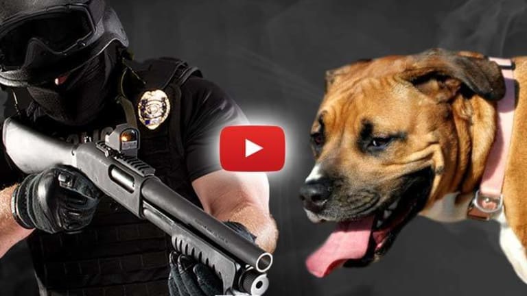 Cops Admit to Entering Innocent Family's Property, Shooting and Leaving Their Dogs for Dead