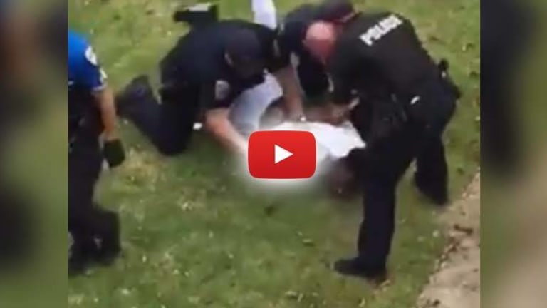 Video Shows Cops Hold Down 16-yo Boy and Repeatedly Punch Him at Earth Day Celebration