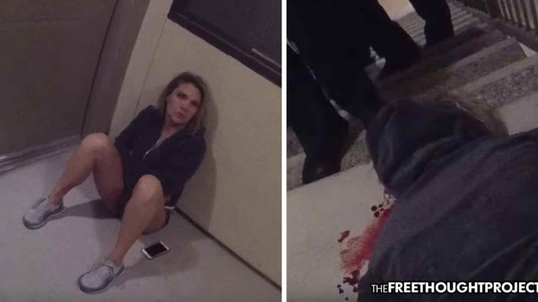 Taxpayers to Be Held Liable As Body Cam Shows Cop Smash Tiny Drunk Woman's Face Into Concrete