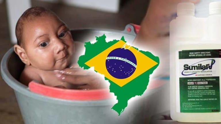Brazil Ends Monsanto Linked Pesticide Use to Fight Zika After It's Exposed as Cause of Birth Defects