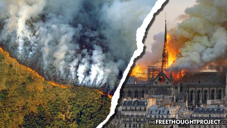 After Covering Notre Dame Fire Non-Stop, Media Silent as the Amazon Burns for Weeks