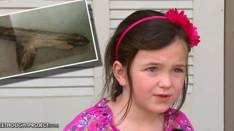 5-Year-Old Girl Suspended from School for Holding a Stick that "Looked Like a Gun"