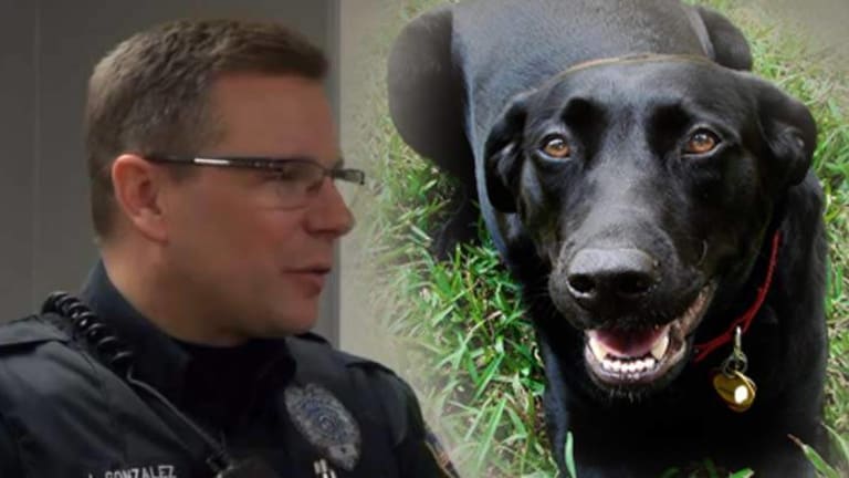 Cop Saves a Woman's Life After Choosing to Understand a Dog Instead of Shooting It