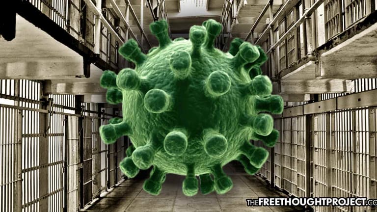 Inmate Release Amid COVID-19 Pandemic Exposes Tyranny of America's For Profit Prisons