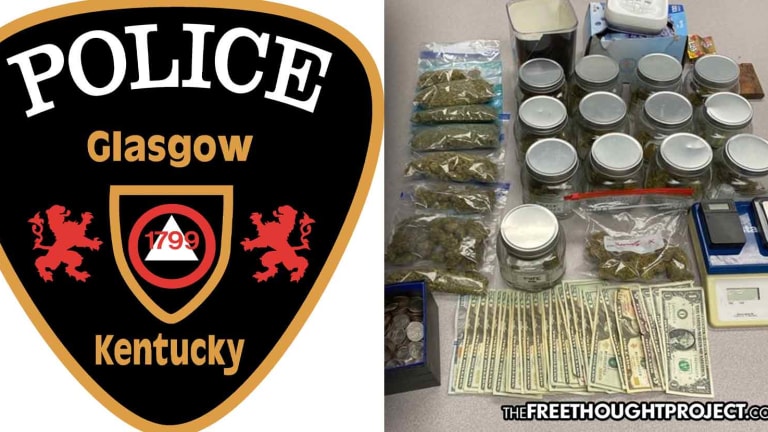 Cops Brag About Stealing Man's Weed & Pocket Change After He Called 911 for a Tree on His Home