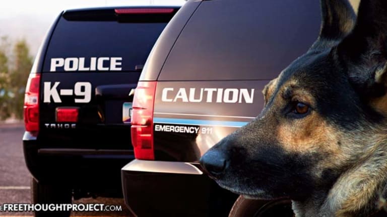 Cop Left K9 in Hot Car for Days, Didn't Know He Died Until He Smelled It